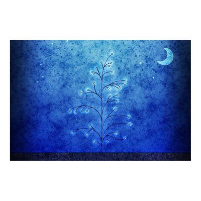 First Snow Print by vladstudio
