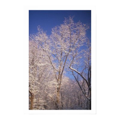 First Snow Posters by mregtrishna
