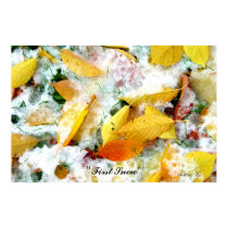 "First Snow" Poster posters by cindyloum "First Snow" Poster posters