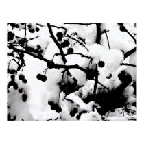 First Snow posters by blueVenus First Snow posters