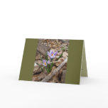 FIRST SPRING FLOWER products - Customized cards