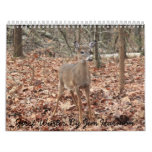 First Winter By Jim Harmon Calendars