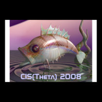 fish13, CIS(Theta) 2008 posters