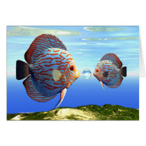 fish5 greeting card