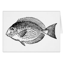 fish #001 cards
