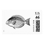 fish #001 postage stamp