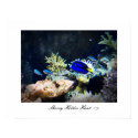 Fish 10 - Customized posters