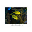 Fish 11 - Customized posters by SherryHolderHunt Fish 11 - Customized posters