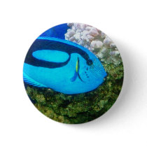 FISH 6 buttons