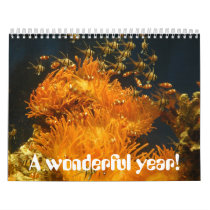 Fish, A wonderful year! calendars by fcrippa Fish, A wonderful year! calendars