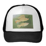 Fish - Albino Mollies - Poecilia latipinna Mesh Hat