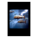 fish and lightning posters