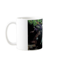 Fish and Underwater Aquatic Life Photo Mugs