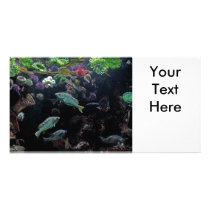 Fish and Underwater Aquatic Life Photo Personalized Photo Card
