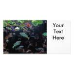 Fish and Underwater Aquatic Life Photo Personalized Photo Card