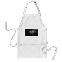 fish aprons