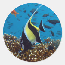 Fish Aquatic animals Round Sticker