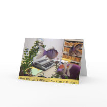 Fish at Play cards