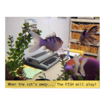 Fish at Play poster posters