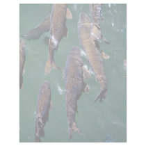Fish background letterhead design