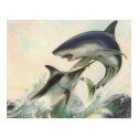 Fish - Black Marlin & Mako Shark posters