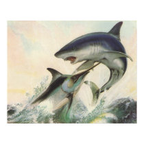 Fish - Black Marlin & Mako Shark posters by LisasLair Fish - Black Marlin & Mako Shark posters