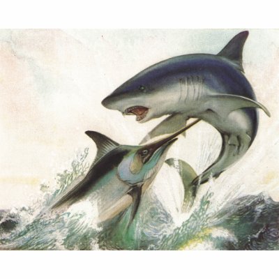 marlin 357 mag sale