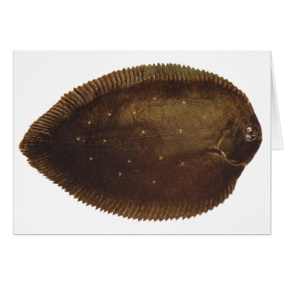 Fish Sole