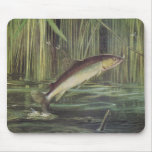 Fish - Brown Trout - Salmo trutta Mouse Mats