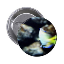 Fish Button