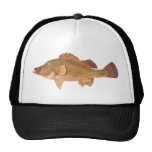 Fish - Callow - Plectropliles ambiguus Mesh Hat