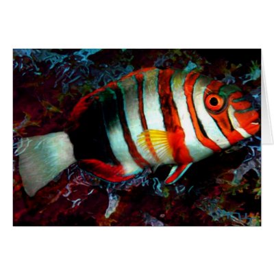  fish (card) by nefera