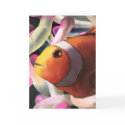 Fish cards