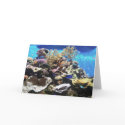 Fish Card by briggie Fish Card