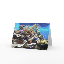 Fish Card