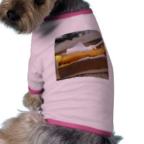 Fish Chips pet clothing
