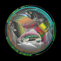 FISH CIRCLE magnets