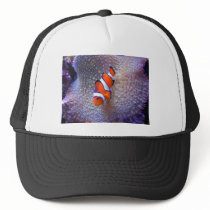 fish,clown fish mesh hats