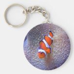 fish,clown fish key chain