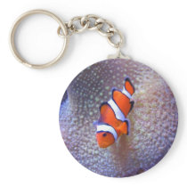 fish,clown fish key chain
