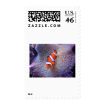fish,clown fish postage stamps