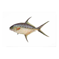 Fish - Dart - Trachinotus botla posters by LisasLair Fish - Dart - Trachinotus botla posters