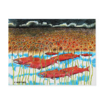 Fish Dream postcards