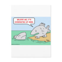 fish, evolution, overrated post cards