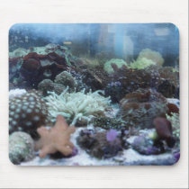 Fish Eye's View  (mousepad)