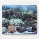 Fish Eye's View (mousepad) by carolssecrets Fish Eye's View (mousepad)