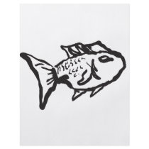 FIsh flyers