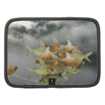 Fish & Fog Planner