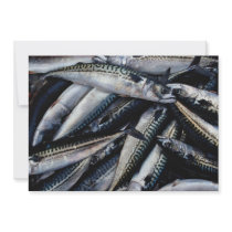 Fish for lobster bait, Prince Edward Island, Canad Invite
