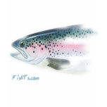 Fish Heads by FishTs.com